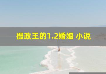 摄政王的1.2婚姻 小说